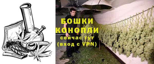 дурь Покачи