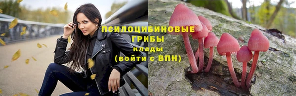дурь Покачи